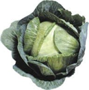 Cabbage Gr./Wh. product image