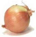 Onion Yellow product image