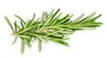 Rosemary product image