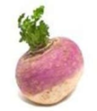 Turnip product image